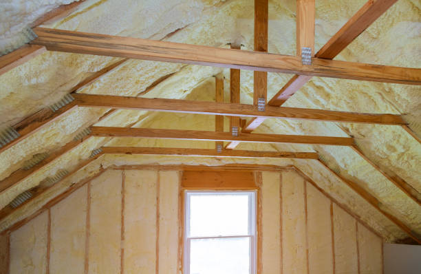 Best Residential Insulation in La Palma, CA