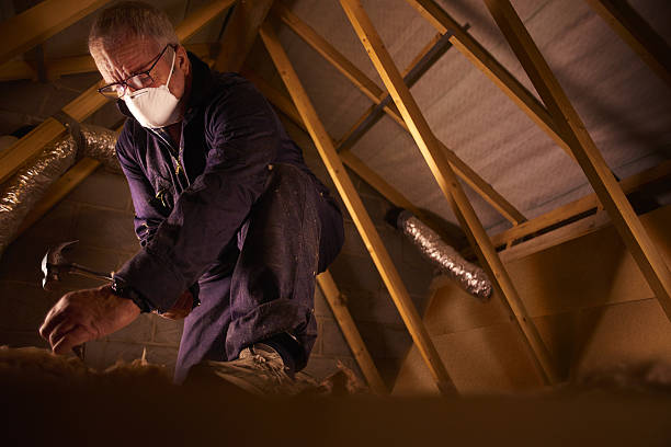 Types of Insulation We Offer in La Palma, CA