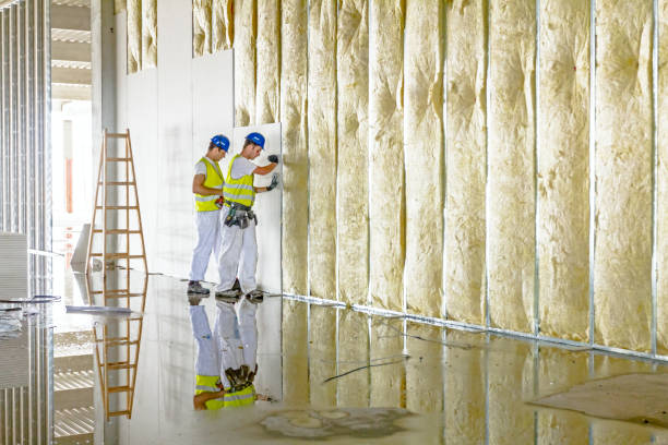 Best Energy Efficiency Insulation in La Palma, CA
